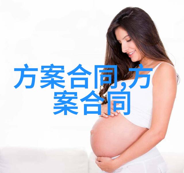 2024 最新室内装修合同委托方